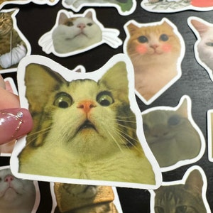 Offre à durée limitée - Lot de 50 stickers chat drôle meme Stickers Sticker skateboard téléphone portable DIY Junk Journal Supplies, cadeau pour un ami