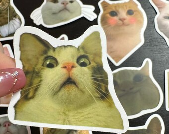 Funny Cat Meme Stickers – 50 Piece Laptop, Phone Decals