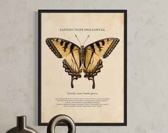 Butterfly Vintage Science Print - Eastern Tiger Swallowtail - Wall art - Downloadable art print