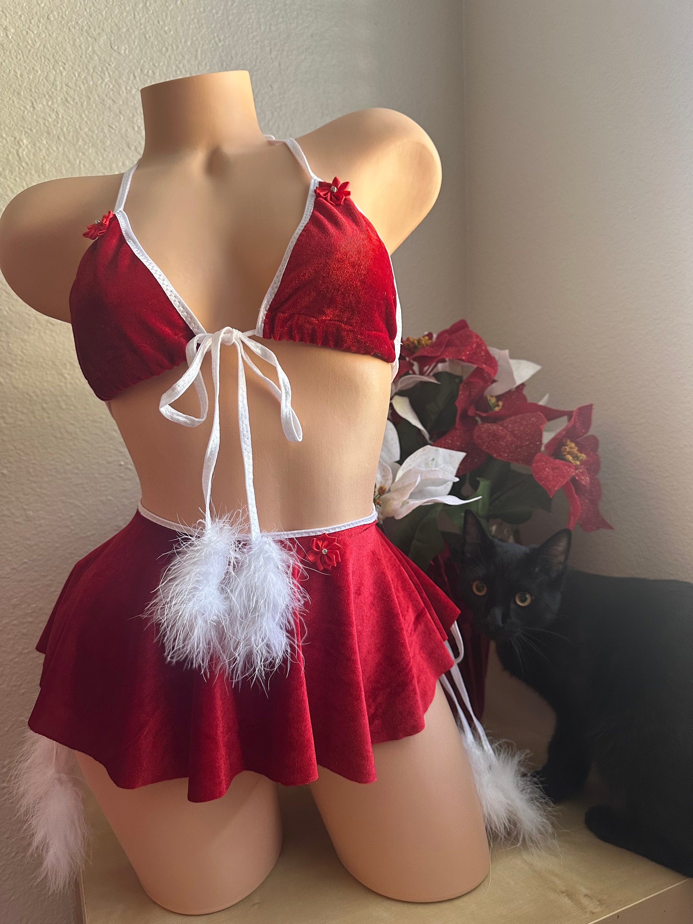 Sexy Mrs Santa Claus Outfit 