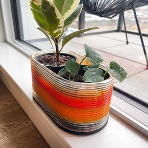May include: Two potted plants in a colorful, striped, clear plastic planter. The planter has a black base and is layered with orange, red, and yellow stripes. The plants are a green and white variegated plant and a green plant with round leaves.