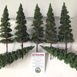 May include: Five miniature model evergreen trees with green foliage and brown trunks. The trees are arranged in a row, with a ruler in the background. A business card with text is in the lower right corner.