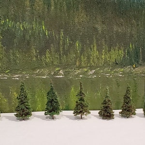 May include: Ten miniature evergreen trees, ranging in size from 1 to 3 inches tall, are arranged in a row on a white surface. A ruler with inch markings is visible in the background.