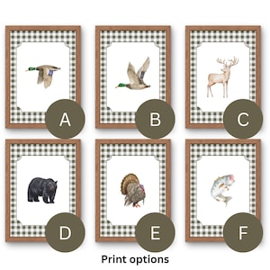 May include: Six framed prints with a white background and a brown and white checkered border. The prints feature images of a duck, a deer, a bear, a turkey, a fish, and a duck in flight. The prints are labeled with letters A through F.