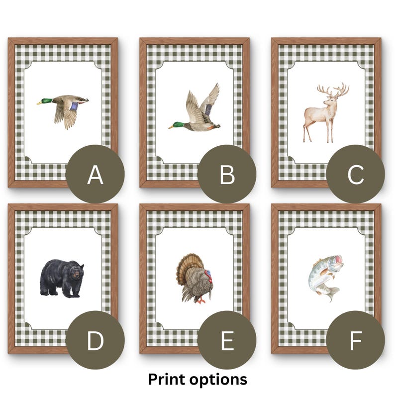 May include: Six framed prints with a white background and a brown and white checkered border. The prints feature images of a duck, a deer, a bear, a turkey, a fish, and a duck in flight. The prints are labeled with letters A through F.