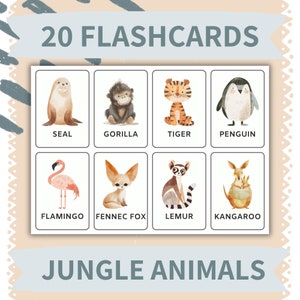 Conjunto de Flashcards de Animais - 20 Cartões de Vocabulário Pré-escolar para Leitura e Soletragem - Atividades Divertidas de Carro para Crianças