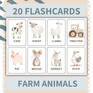 Conjunto de Flashcards de Animais - 20 Cartões de Vocabulário Pré-escolar para Leitura e Soletragem - Atividades Divertidas de Carro para Crianças