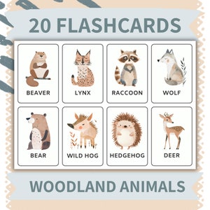 Conjunto de Flashcards de Animais - 20 Cartões de Vocabulário Pré-escolar para Leitura e Soletragem - Atividades Divertidas de Carro para Crianças