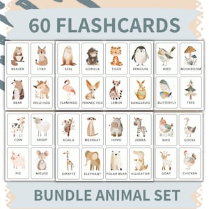 Conjunto de Flashcards de Animais - 60 Cartões de Vocabulário Pré-Escolar para Leitura e Ortografia - Atividades Divertidas com Carros para Crianças