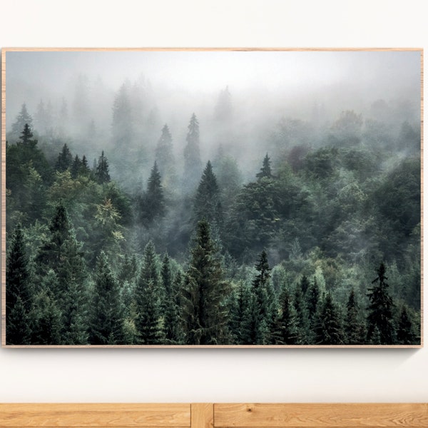 Foggy Pine Forest, Nature Wall Art, Misty Green Forest Print, Modern Home Decor, Forest Photography Art, Green Pine Forest Print, Printable