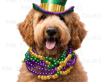 May include: A brown and gold dog wearing a green top hat with a gold band and a purple, green, and gold beaded necklace.