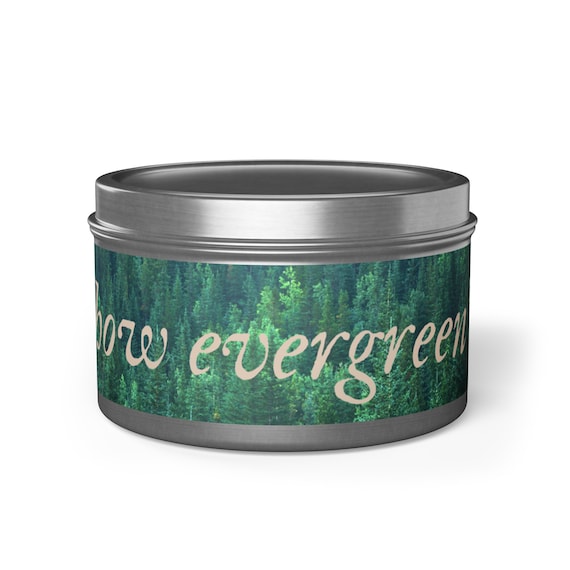 Evermore Album Candle, Pine Soy Scented Candle, Evermore Era Inspired Candle, Unique Taylor Merch, Perfect Christmas Gift for Taylor Fan