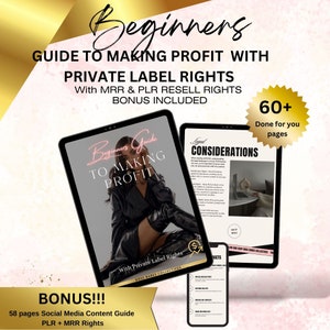 Anfängerleitfaden für Eigenmarkenrechte | Digitales Marketing für Unternehmer Done for You Ebook - Canva Template MRR | PLR Digital Produkte