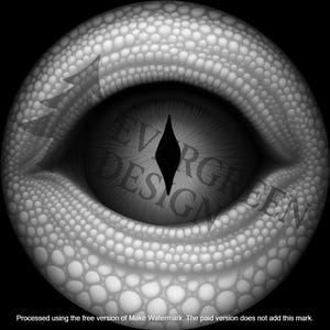 May include: A grayscale illustration of a reptilian eye, featuring a black diamond-shaped pupil and a textured, scale-like iris. The eye is surrounded by a white, bumpy surface. The text "EVERGREEN DESIGN" is partially visible within the eye.