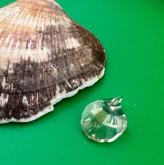 Shell Pendant Necklace With Swarovski #6723 Clambshell Golden