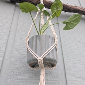 Puede incluir: Una maceta de cerámica gris con un diseño acanalado, suspendida en un colgador de plantas de macramé color crema. La maceta contiene una planta de hojas verdes. El macramé está sujeto a una rama de madera natural, montada en una pared de madera azul claro.