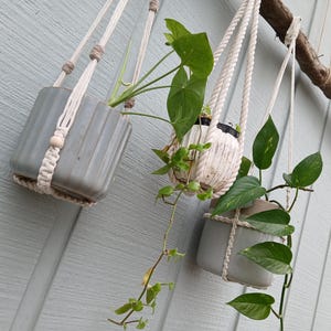 May include: Three hanging planters with green plants. Two planters are gray ceramic with a ribbed design, suspended by macrame rope. The third planter is white with a textured design. The planters are hanging from a wooden branch against a light blue wall.