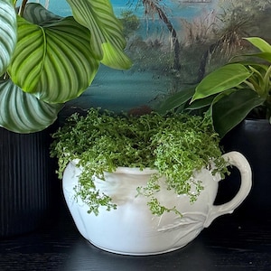 Antique Johnson Brothers Jardiniere | Royal Ironstone Ware