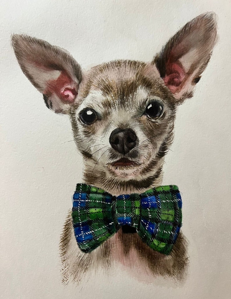 Oil pet portrait by Konul&Nazrin zdjęcie 4