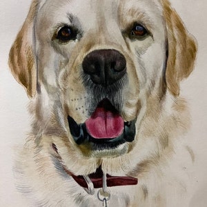 Oil pet portrait by Konul&Nazrin zdjęcie 8