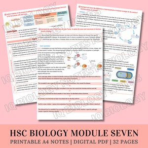 May include: A set of printable A4 notes for a high school biology module. The notes cover the immune system, infectious diseases, and the work of Robert Koch and Louis Pasteur. The notes are in colour and include diagrams and illustrations.