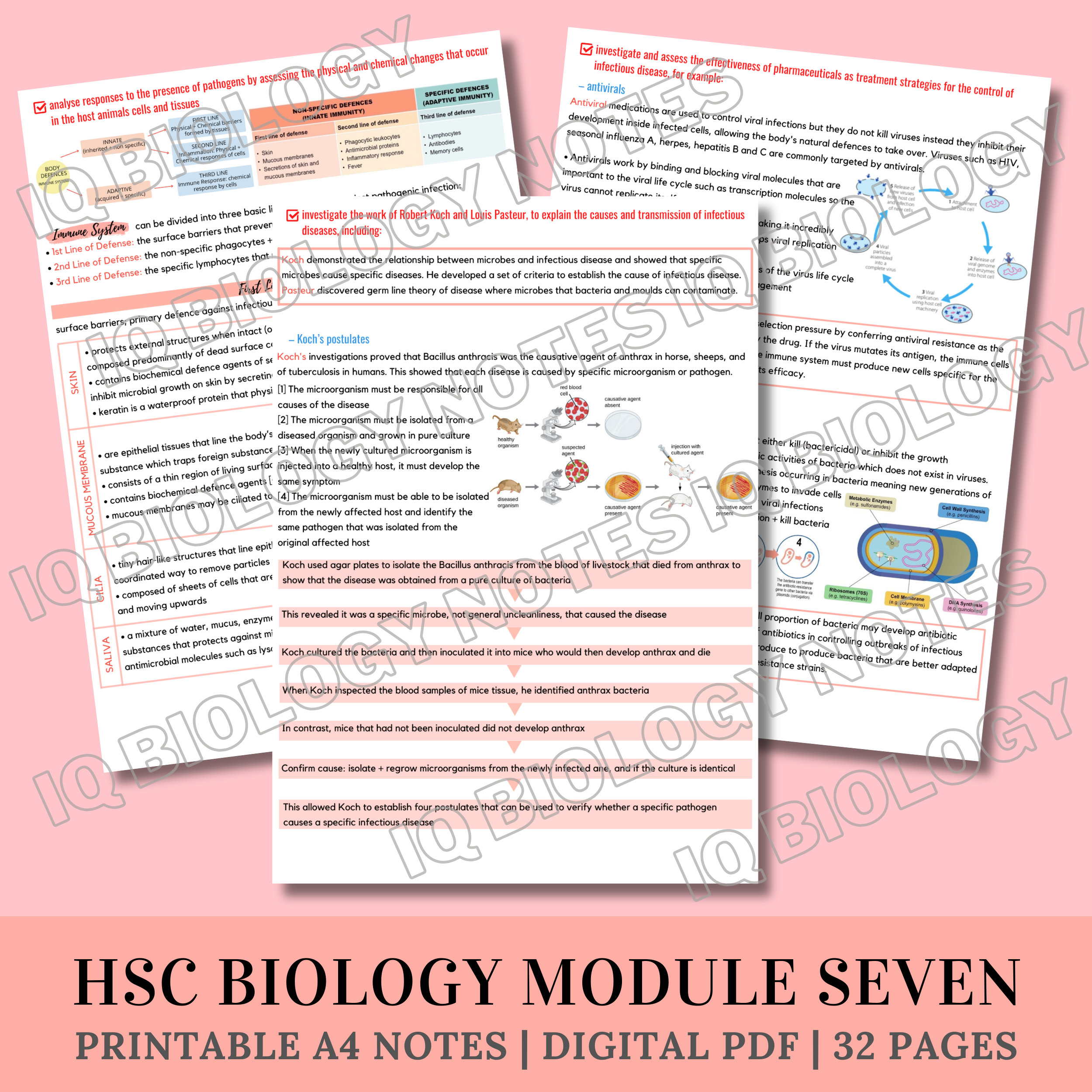 HSC Biology Module 7 Infectious Disease - Entire Syllabus - Etsy