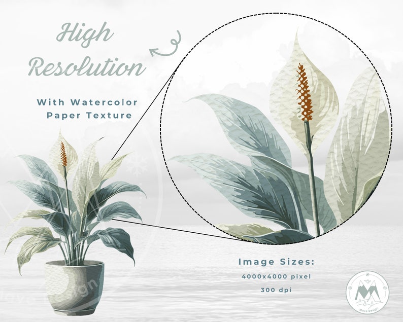 Puede incluir: Una ilustraci&oacute;n de acuarela de una planta de lirio de la paz en una maceta gris. La imagen tiene una textura de papel de acuarela y es de 4000x4000 p&iacute;xeles a 300 ppp.