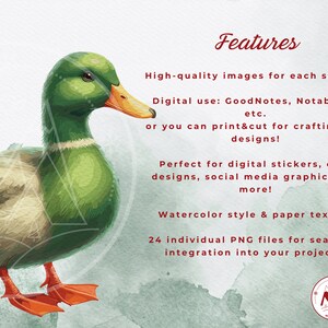 May include: A digital clipart set of 24 individual PNG files featuring a watercolor style illustration of a green duck with an orange beak. The duck is standing on a green and white watercolor background. The image includes the text "Features" and a description of the clipart set.