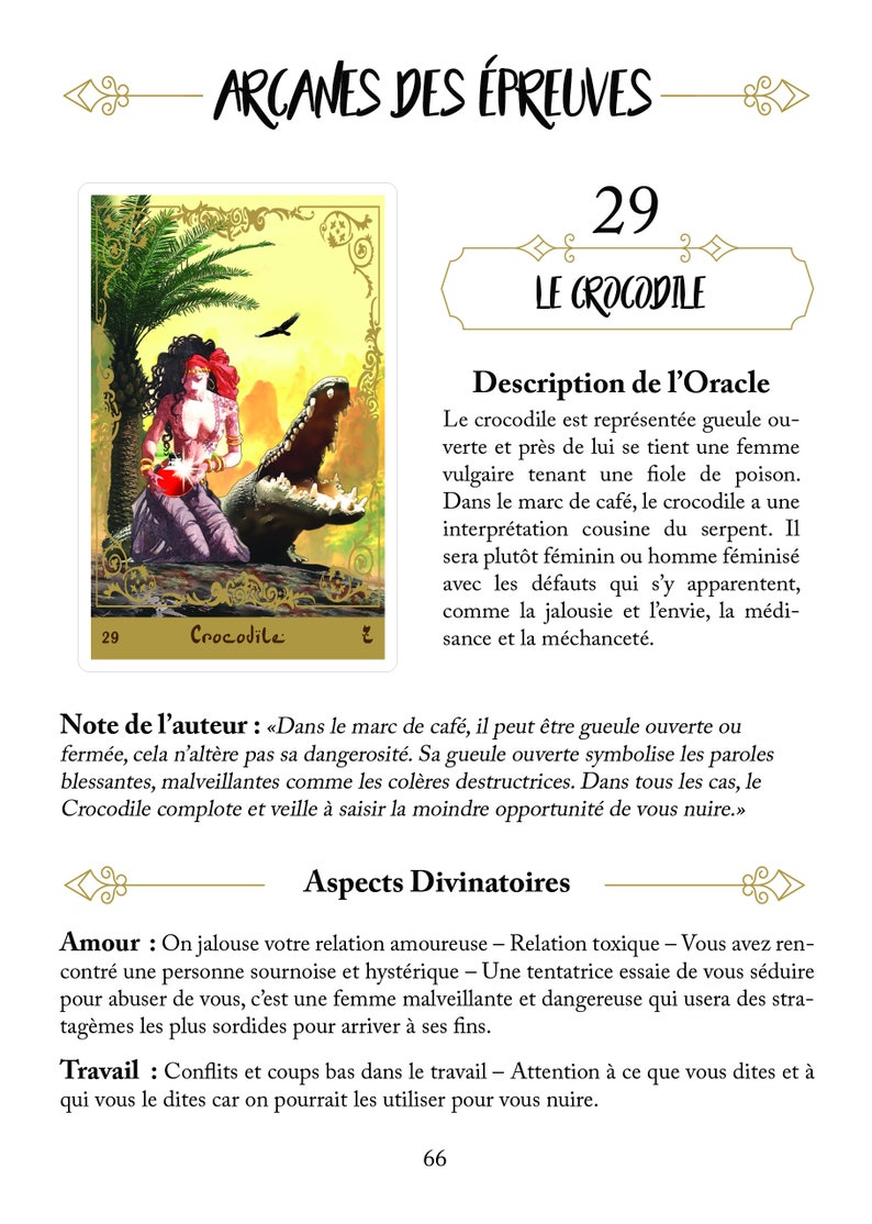 Le Livre de l'Oracle Symbolique du Marc de Café image 8