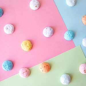 Bolas de semillas sueltas con forma de hemisferio/bombas de semillas de flores silvestres/bombas de semillas de colores pastel en papel reciclado a granel/regalo de fiesta sostenible para invitados