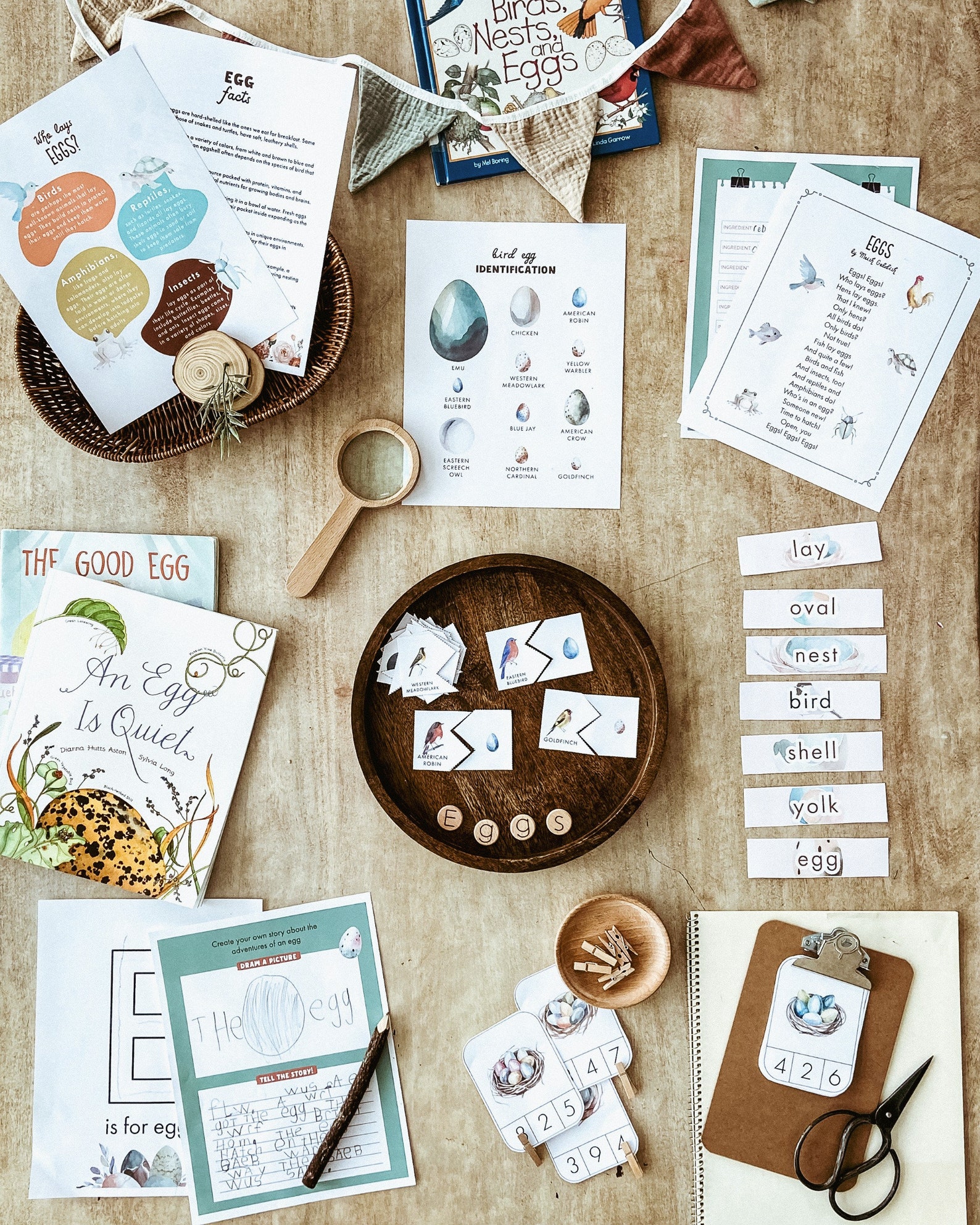 Spring Unit Study Pack, Homeschool Unit Study Bundle, Activity Pack ...