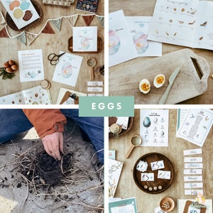 Egg Unit Study, Homeschool Unit Studies, Homeschool Printables, Egg Activity Unit, Curriculum, Nature Study