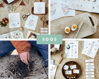 Egg Unit Study, Homeschool Unit Studies, Homeschool Printables, Egg Activity Unit, Curriculum, Nature Study