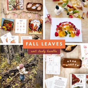 Fall Leaves Unit Study, Leaf, Homeschool Unit Studies, Homeschool Printables, Leaf Activity Unit, Curriculum, Nature Study, Autumn