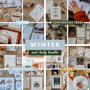 Winter Unit Study Bundle, Homeschool Unit Studies, Homeschool Printables, Curriculum,Nature Study, Hibernation, Snow, Coniferous trees, Owls