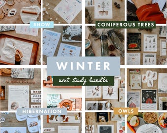 冬の単元学習バンドル、ホームスクールの単元学習、ホームスクールの印刷物、カリキュラム、自然研究、冬眠、雪、針葉樹、フクロウ