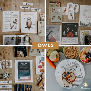Owl Unit Study, Homeschool Unit Study, Homeschool Printables, Charlotte Mason Inspired, Resource, Nature Study, Animal Unit Study