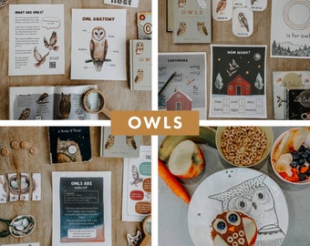 Owl Unit Study, Homeschool Unit Study, Homeschool Printables, Charlotte Mason Inspired, Resource, Nature Study, Animal Unit Study