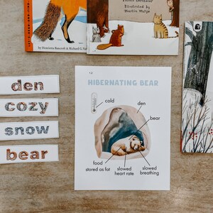 Hibernation Unit Study, Homeschool Printables, Charlotte Mason Inspired ...