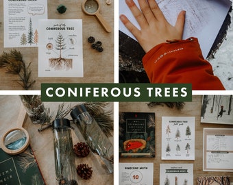 Coniferous Trees Unit Study, Homeschool Printables, Charlotte Mason Inspired, Learning Resource, Nature Study, Winter Unit Study, Pine Trees