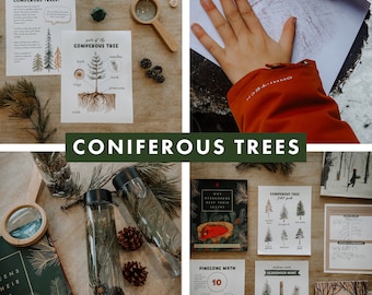 Coniferous Trees Unit Study, Homeschool Printables, Charlotte Mason Inspired, Learning Resource, Nature Study, Winter Unit Study, Pine Trees