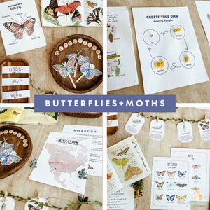 Butterfly and Moth Unit Study, Homeschool Unit Studies, Homeschool Printables, Butterfly Activity Unit, Curriculum, Nature Study
