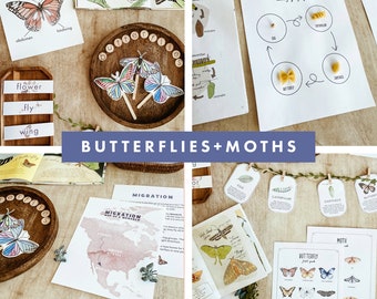 Butterfly and Moth Unit Study, Homeschool Unit Studies, Homeschool Printables, Butterfly Activity Unit, Curriculum, Nature Study