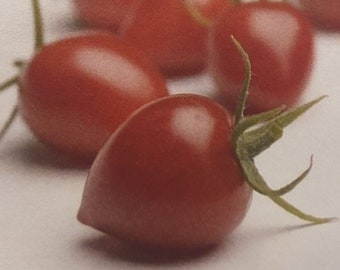 Hartjestomaat 'Gardenberry F1', kerstomaat, tomatoberry, heart shaped tomato - 10 Zaden