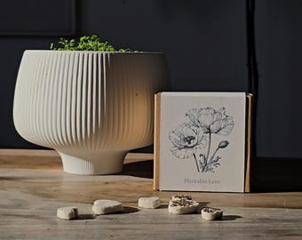 Plantable Seeded Hearts That Grow Into Flowers.