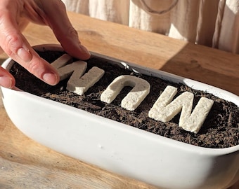 Plantable Seeded Letters, Grow Flowers, Eco Friendly Gift