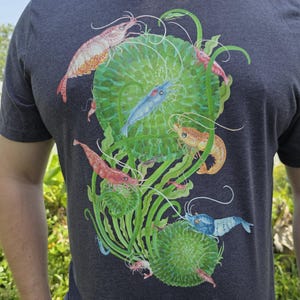 Cherry Shrimp on Marimo Moss Balls Shirt