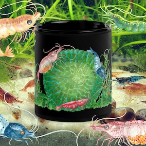 Puede incluir: Taza de cerámica negra con un diseño de acuarela de camarones coloridos y un nenúfar verde. La taza presenta varias especies de camarones en tonos de rojo, azul y verde, creando un tema acuático.