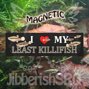 May include: A black magnetic sign with the text "I ❤️ MY LEAST KILLIFISH" and the word "MAGNETIC" above it. The sign features illustrations of Least Killifish and is set against an aquatic background with plants and fish.