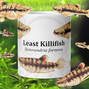 May include: White ceramic mug featuring the text "Least Killifish Heterandria formosa" with illustrations of small fish. The fish have brown and tan patterns with red and orange fins, set against a green aquatic background.